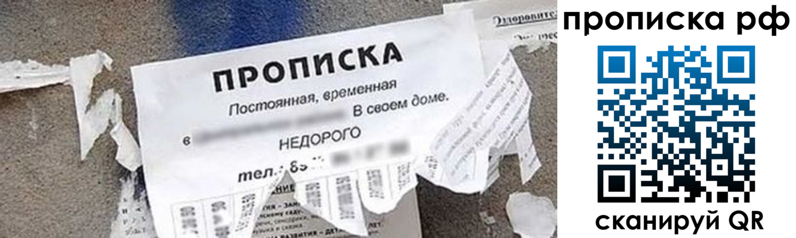 где прописаться в Чаплыгине